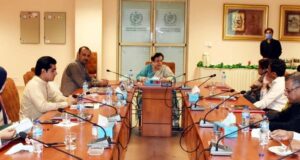No law on public hanging for rapists in the offing: Mazari